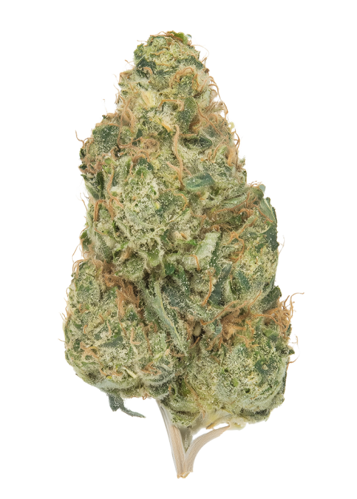 Mandarin Orange