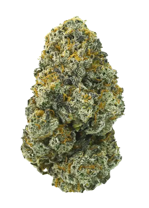 Grape Mac
