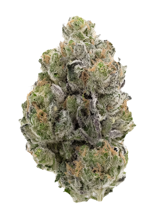 Fumeberries