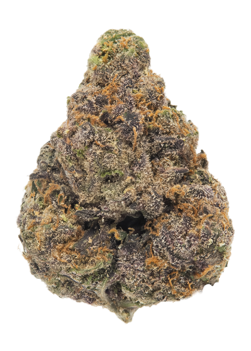 Fruit by the Foot Auto