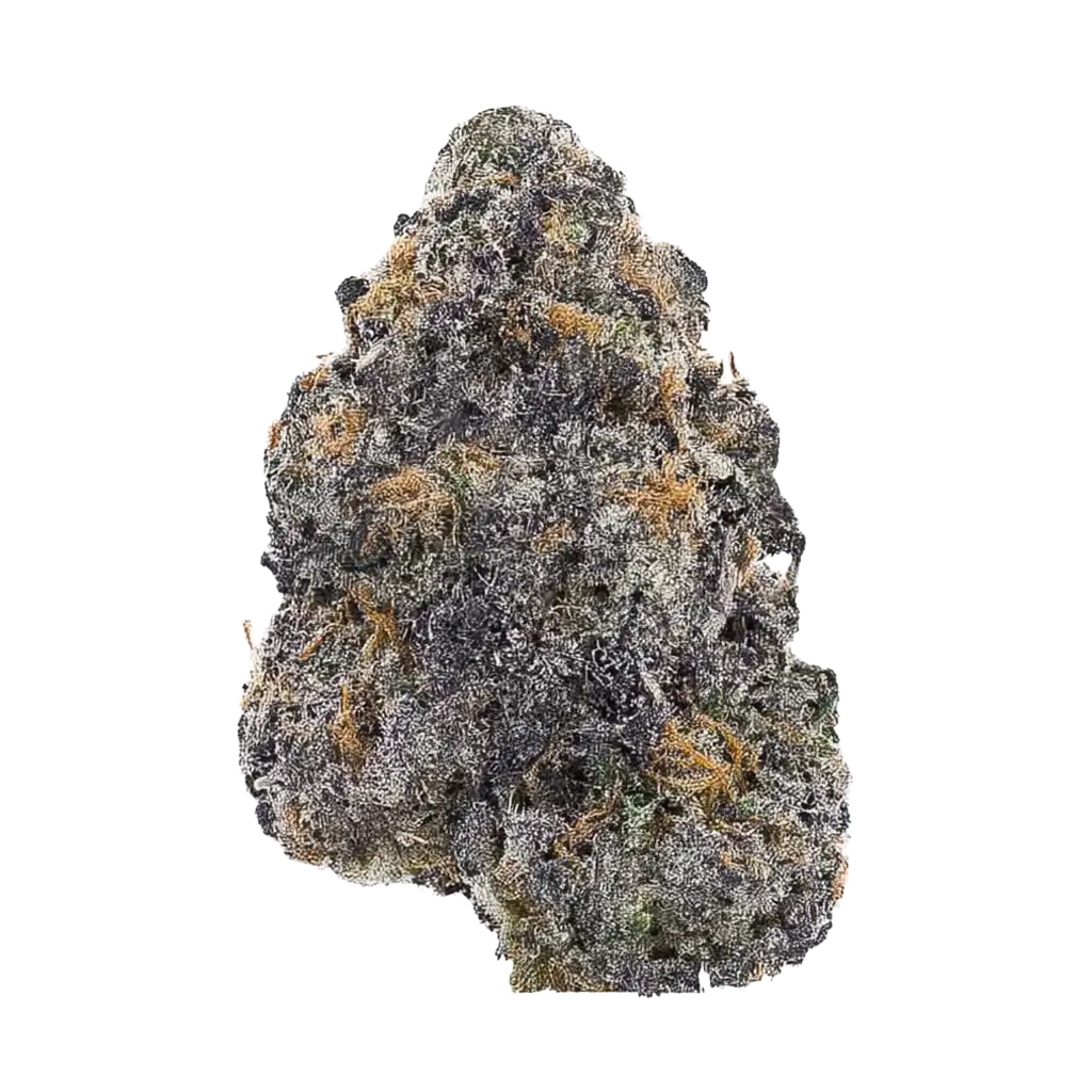 Mega Z Dark Cannabis Strain Information - GrowDiaries