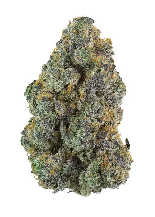 Guava Runtz Auto™