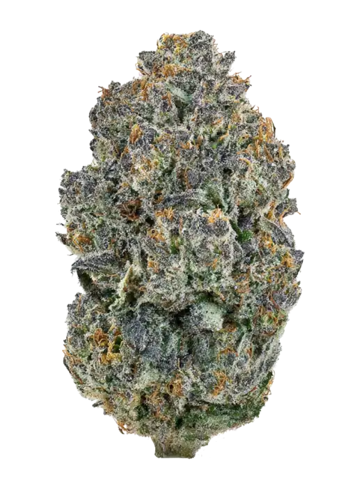 Mendo Frost Auto™