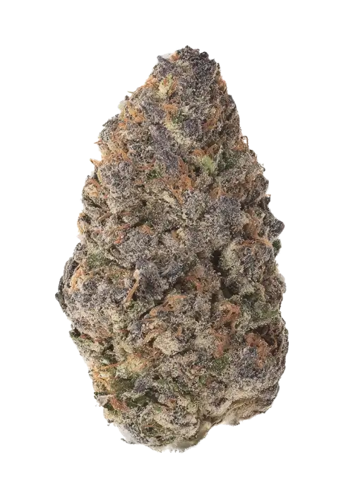 Blackberry Lemonade