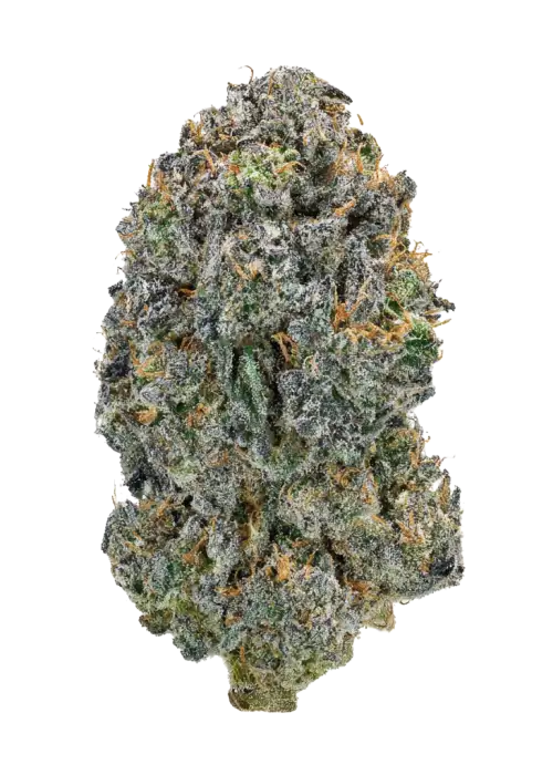 Guava Sundae Auto™