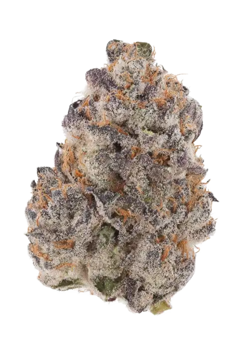 Banana Jealousy Auto RF3