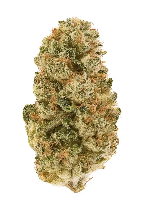 Pineapple Orange