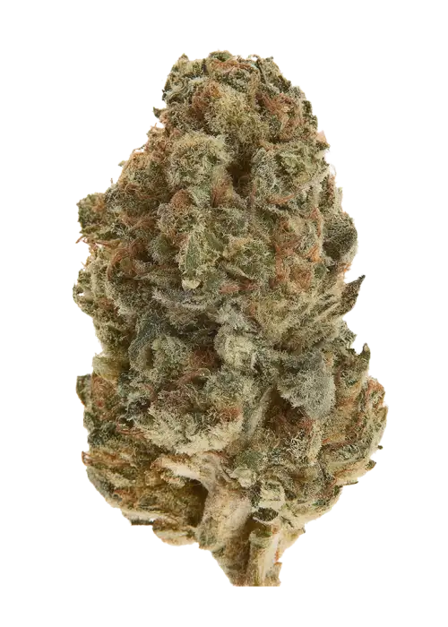 Granddaddy Red Pop