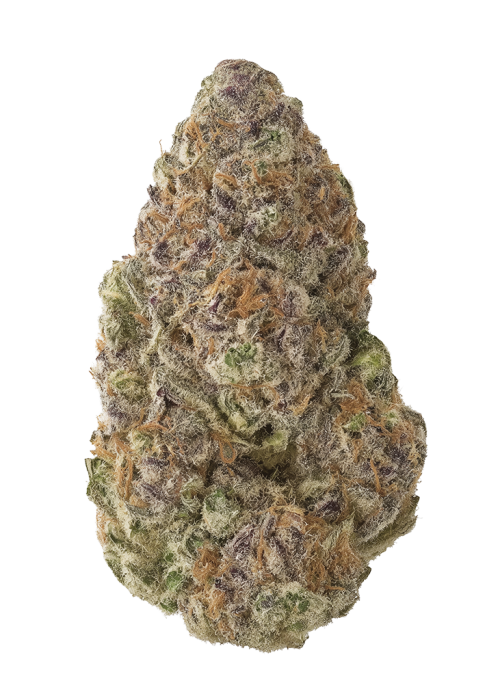 Mimosa Orange Punch