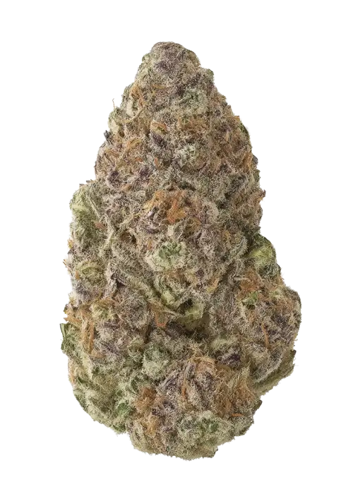 Mimosa Orange Punch