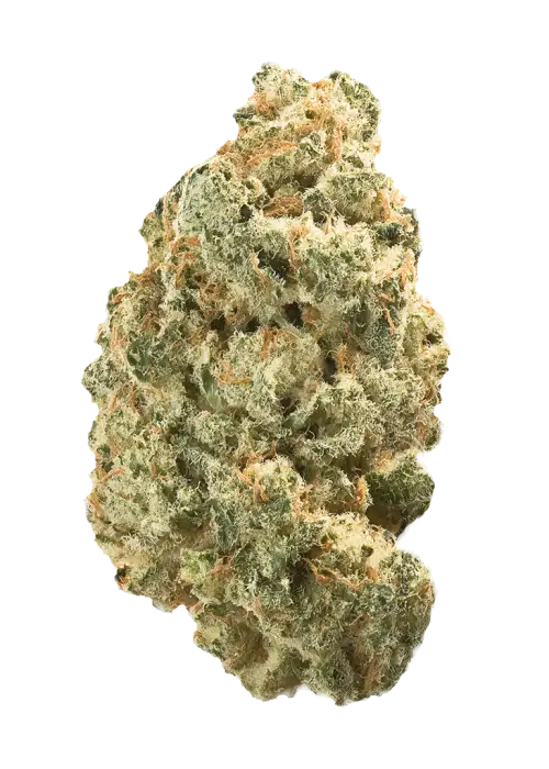 Trump OG
