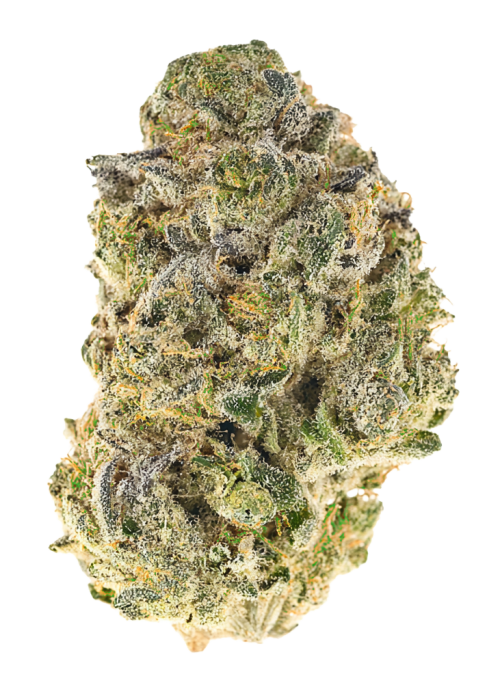 Dark Matter by Wizard Trees