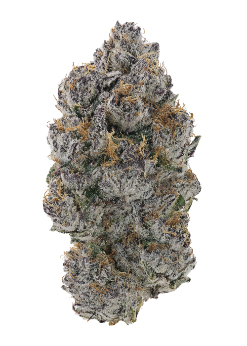 Ocean Truffle