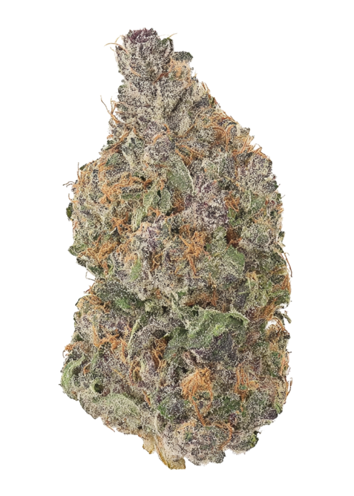Buffalo Blue Cheese #17