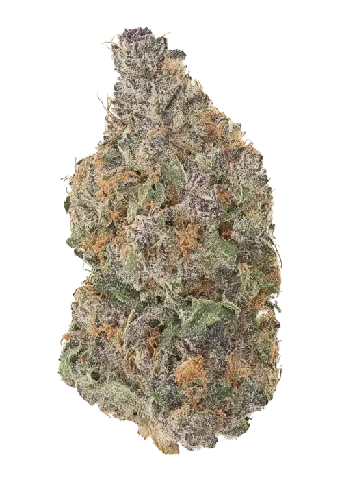 Buffalo Blue Cheese #17