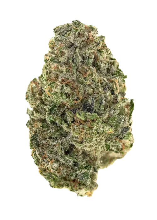 Xmas Trees by Oregon CBD