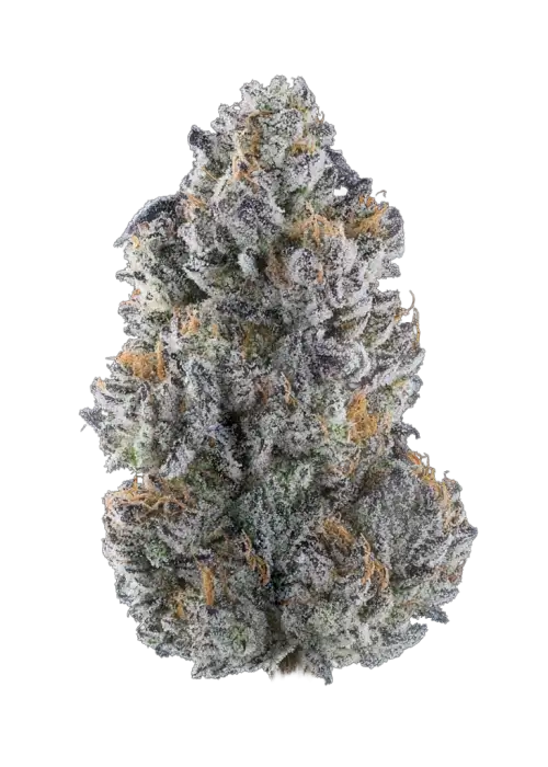 Trapper's Delight