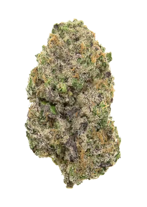 Citrus Slurp