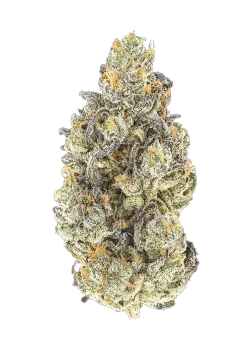 Key Lime CBG