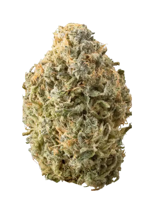 Skunkberry CBGV