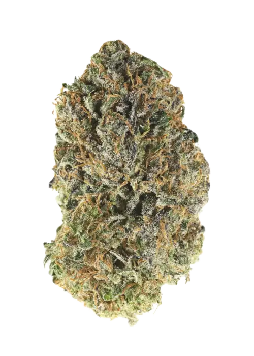 Mountain Apple by Oregon CBD