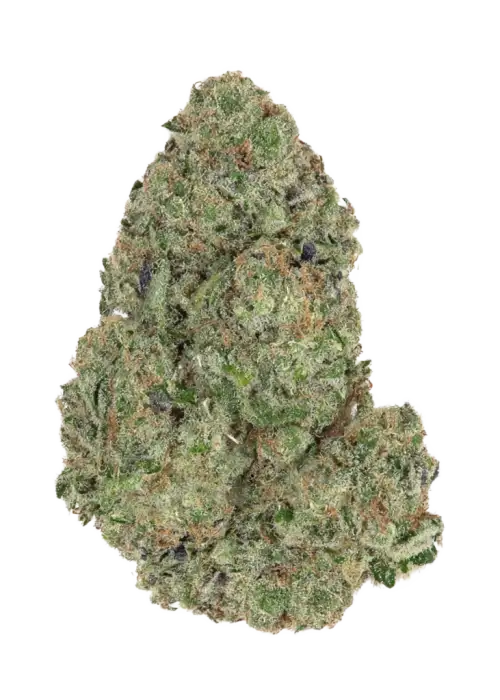 Tahitian Haze