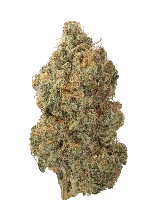 Triangle Kush CBGV