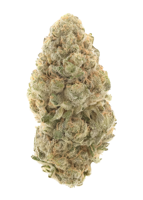 Grandpa's Cookies