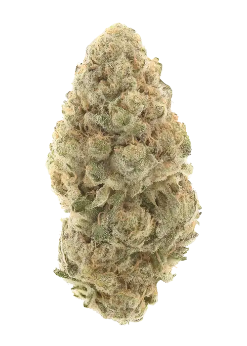 Grandpa's Cookies