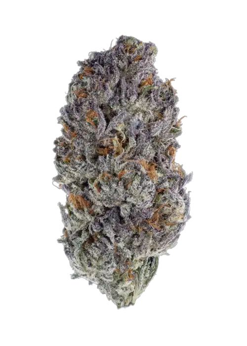 Purple bubble up