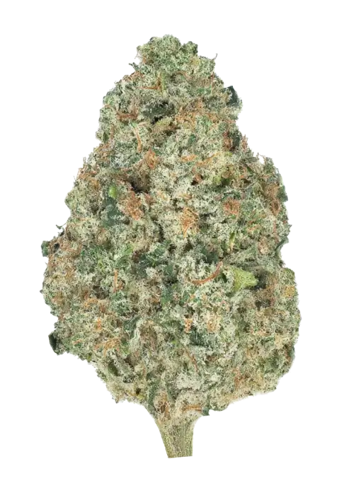 Vienna Cotta