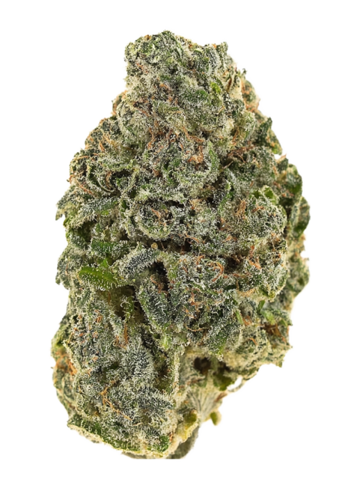 Bad Apple by Aficionado French Connection