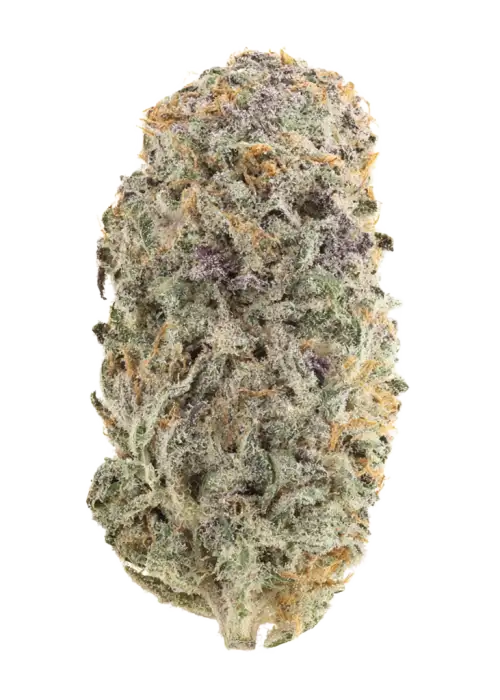 Strawberry Lemonade by Cannabiotix