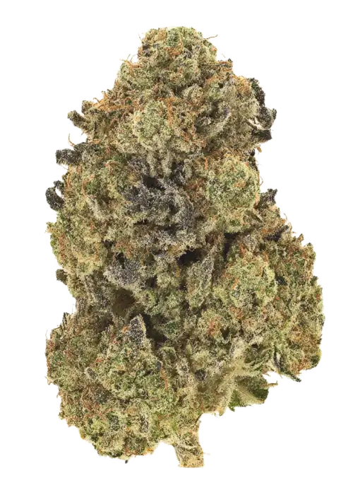 Grape Gas Auto
