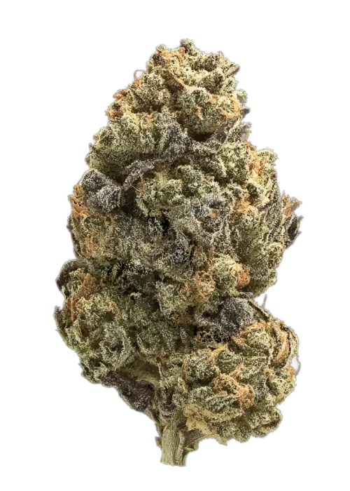 Banana Zruntz