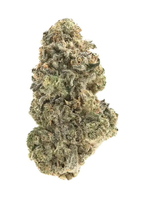 Blooberry Headband