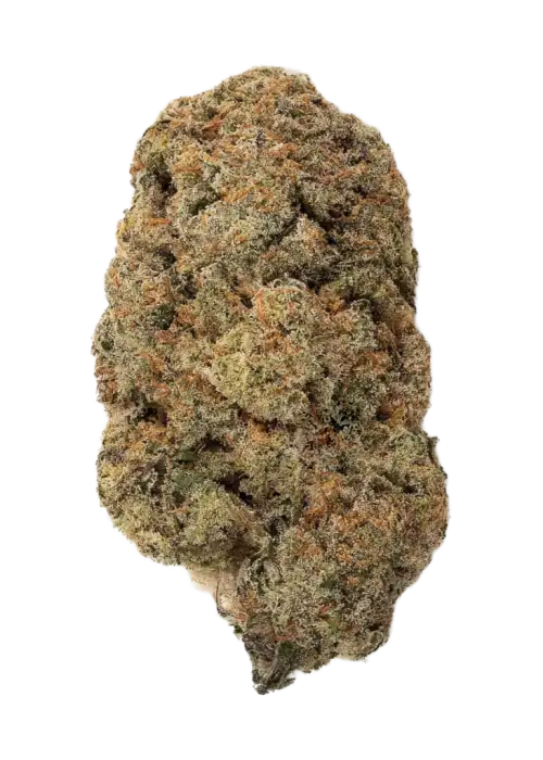 Blooberry Pie