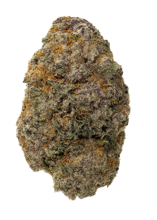 Blooberry Zruntz