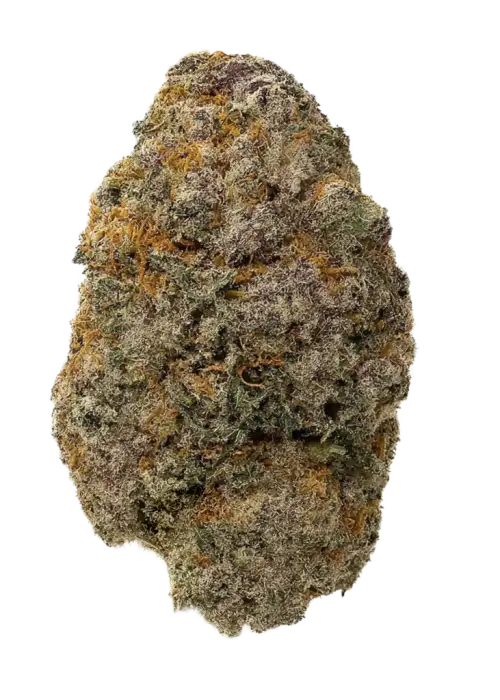 Blooberry Zruntz