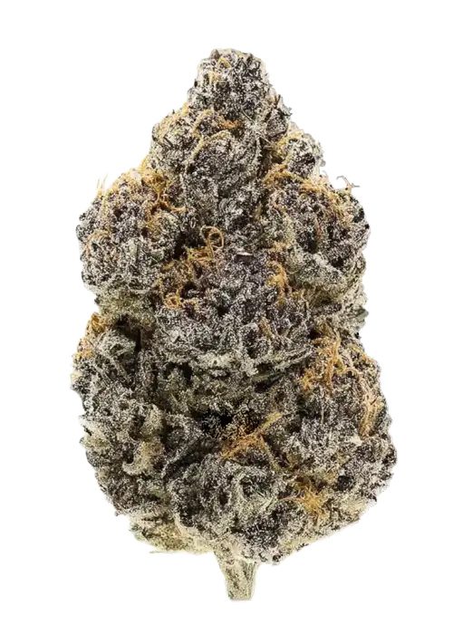 Pi’nana Passion
