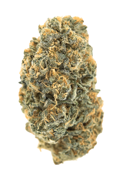 White Zlushi