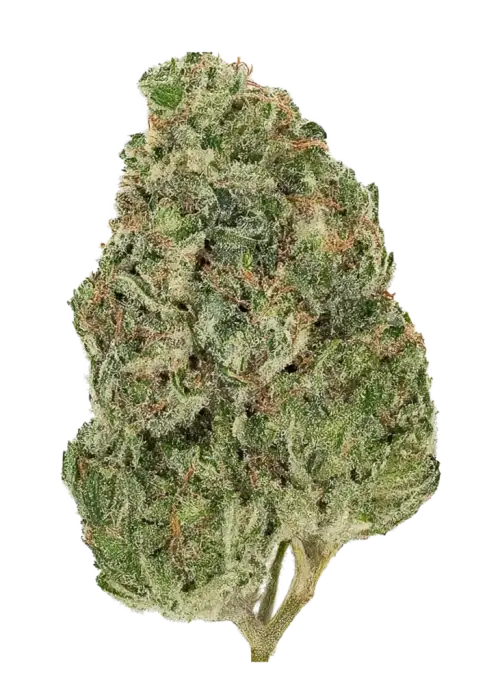 Tropical Fruit Cake