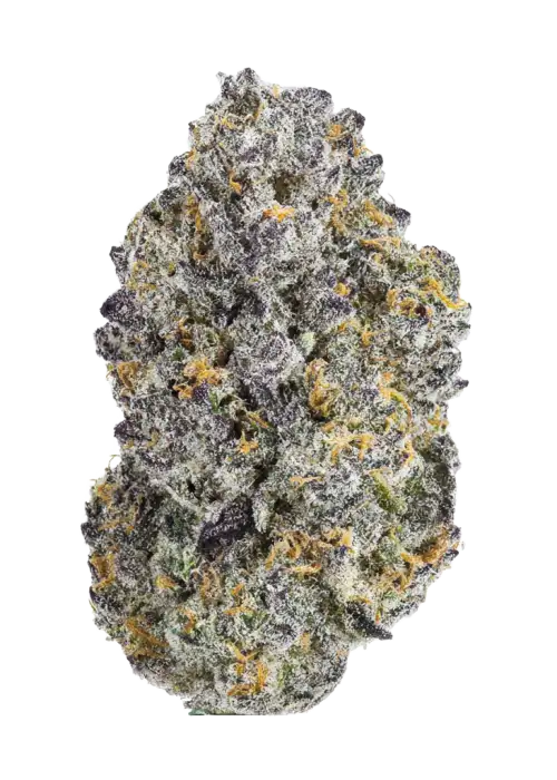 Bickett OG