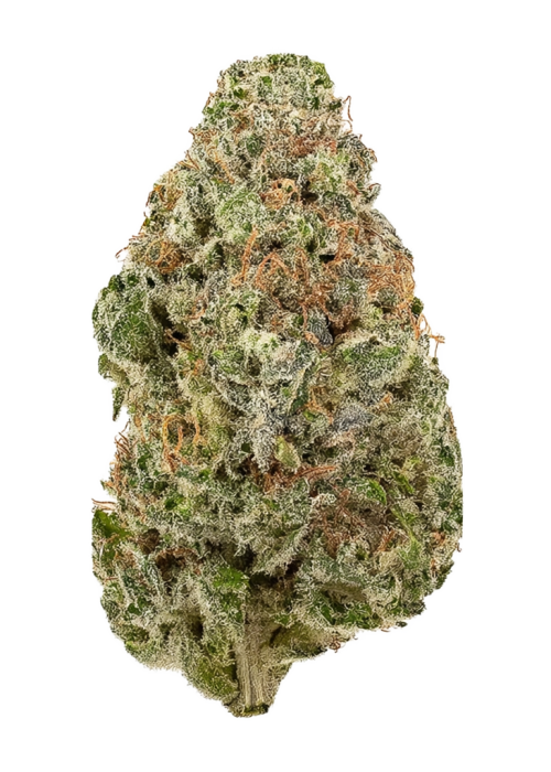 Cactus Cooler by Teds Budz