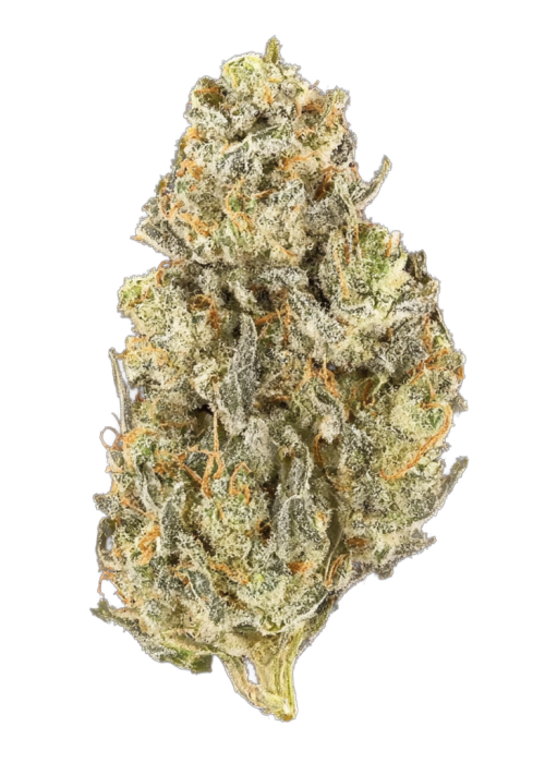Lambo Haze