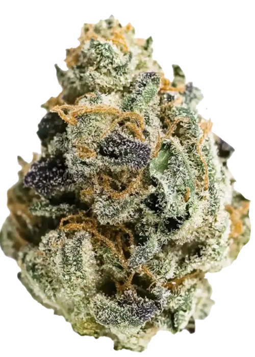 Cotton Candy