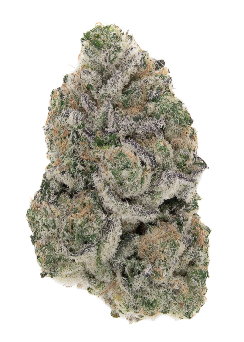 Blueberry Pie by Raw Genetics