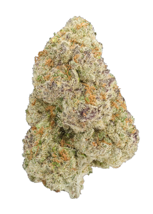 Silk Truffle