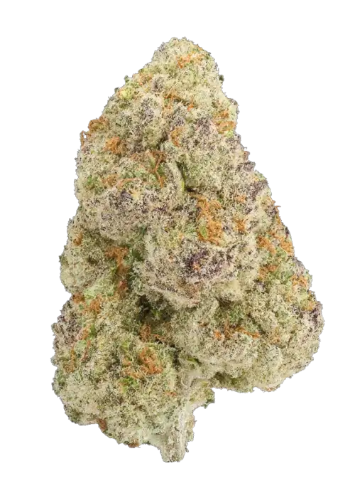 Silk Truffle
