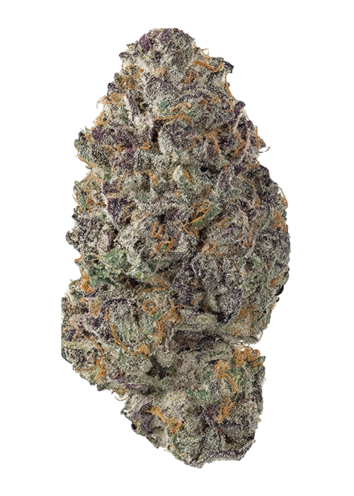 Rose Soda